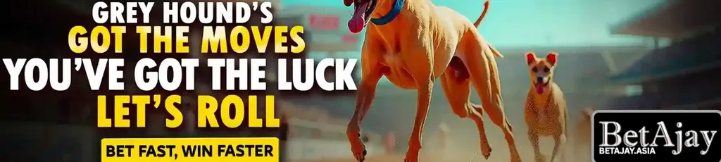 BETAJAY casino promotions and daily bonuses